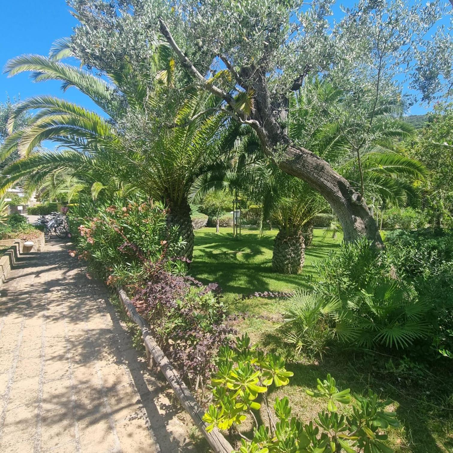 Residence Solemaremma Кастильоне-делла-Пеская Экстерьер фото