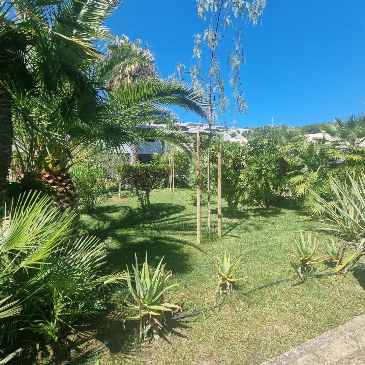 Residence Solemaremma Кастильоне-делла-Пеская Экстерьер фото